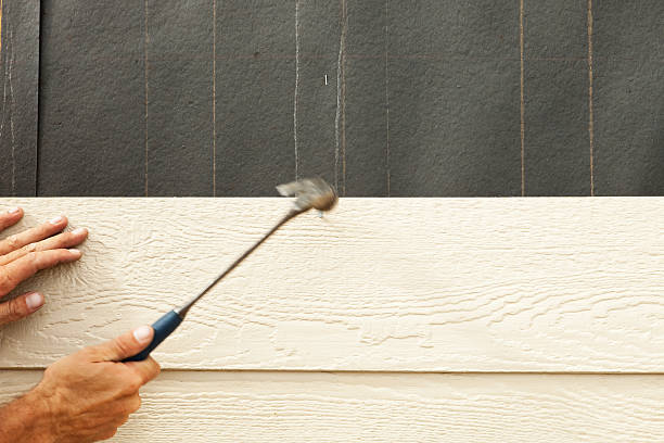 Best Siding Maintenance  in , AK